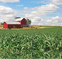 Preservation Easements